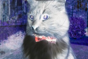 开云体育网页入口-埃弗顿改变阵型提升后防稳定性，埃弗顿换帅