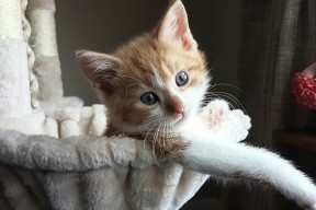 开云体育官方入口-主办方公布环保采购清单，赛事供应链更绿色，环保采购平台