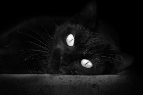 开云体育在线赛事直播-中超联赛中国青年队爆冷 球迷希望坚持青训路线，中超青训大户