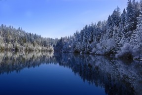 开云注册-亚洲劲旅横扫南美劲敌，创造历史性胜利，亚洲旅行