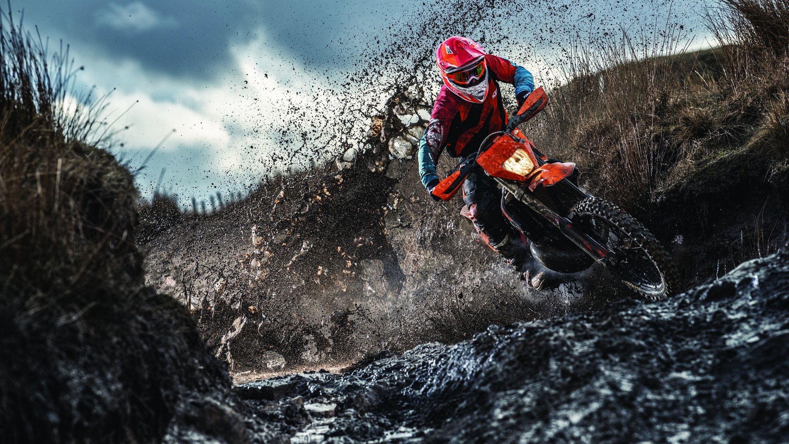 体育训练营数量增加，体育训练营招生